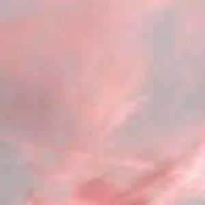 Meet your Posher, Laine